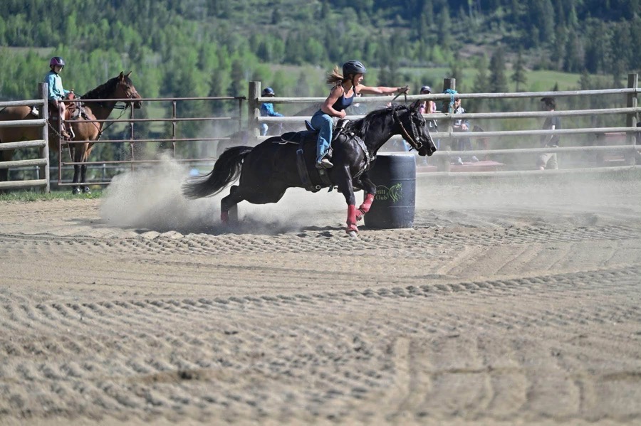 1D/2D barrel/pole horse!