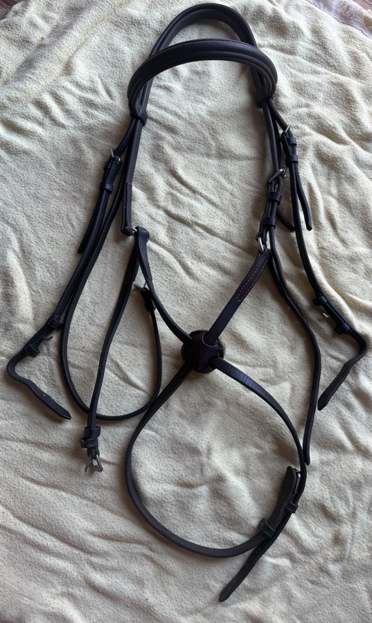 Horse sized figure 8 bridle