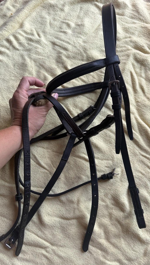 Horse sized figure 8 bridle