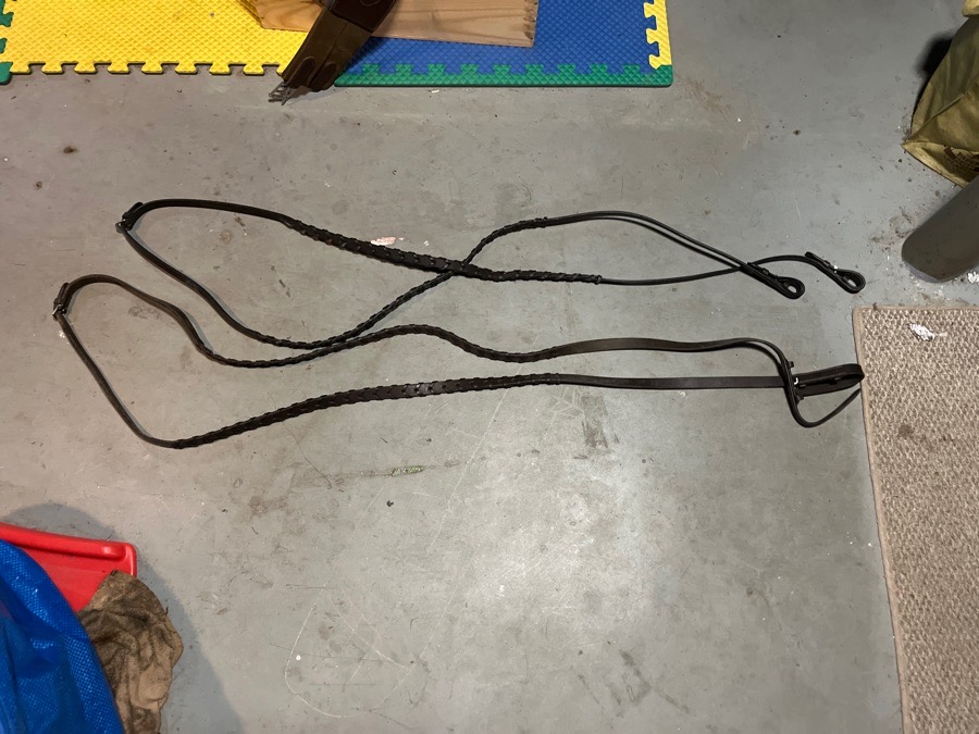 Laced Reins 