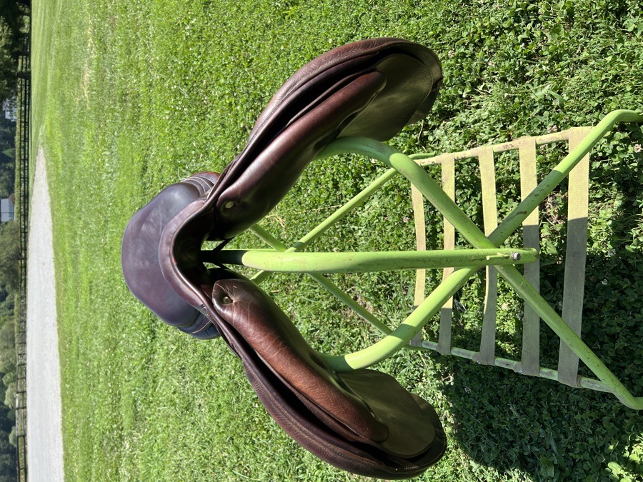 ANTARES Evolution | 18" 3A | 5.5" Tree Size | 2018