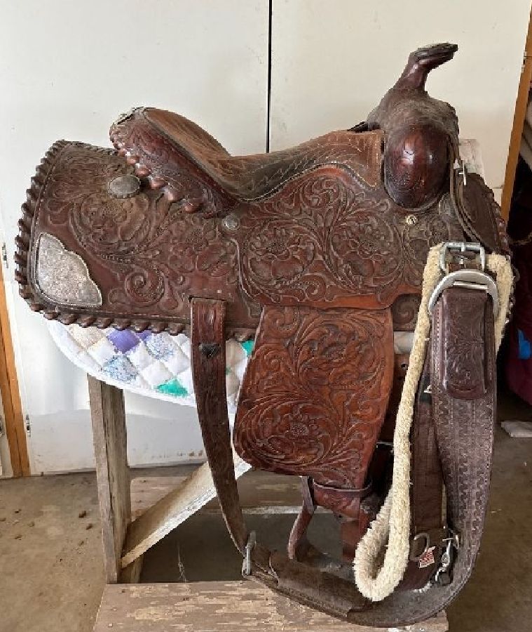 Any Combo 3 Kids Saddles