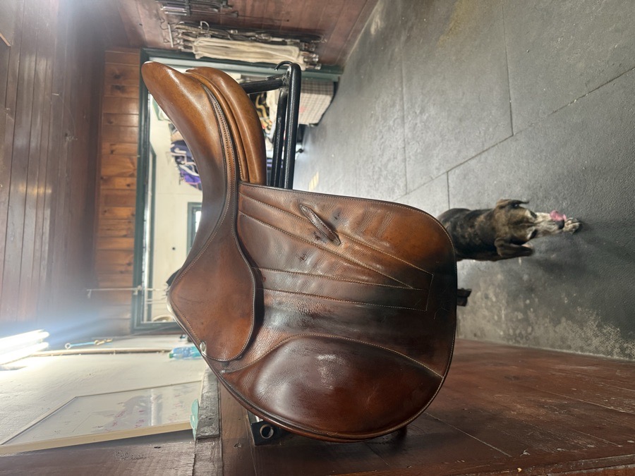 17” Butet Premium Gold