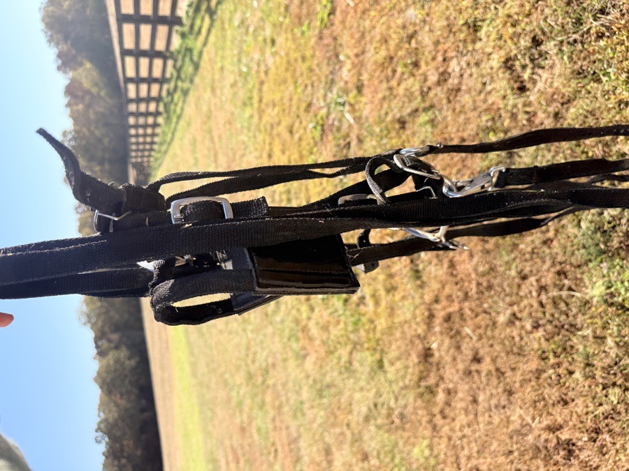 TOUGH 1 mini driving harness and bridle
