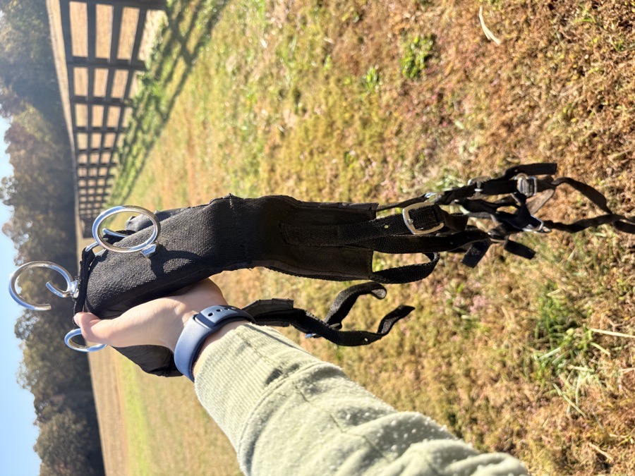 TOUGH 1 mini driving harness and bridle