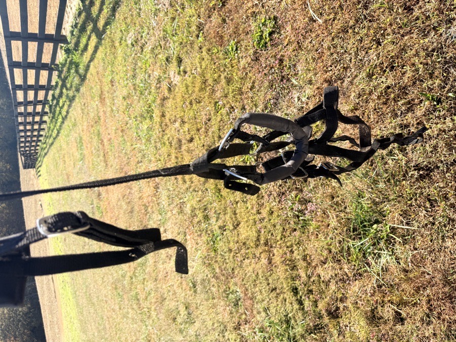 TOUGH 1 mini driving harness and bridle