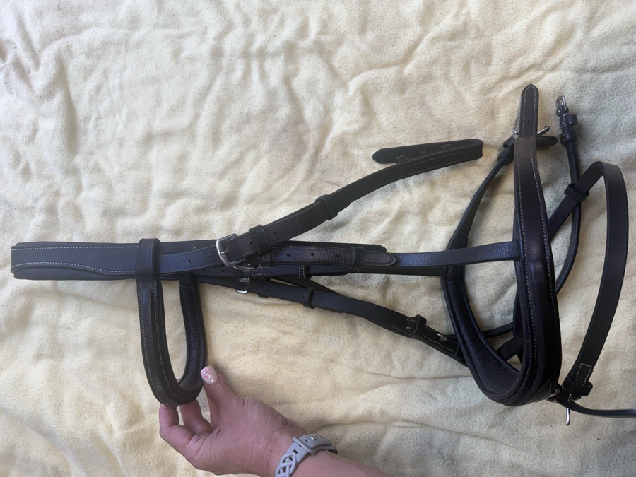 fancy stitch flash bridle