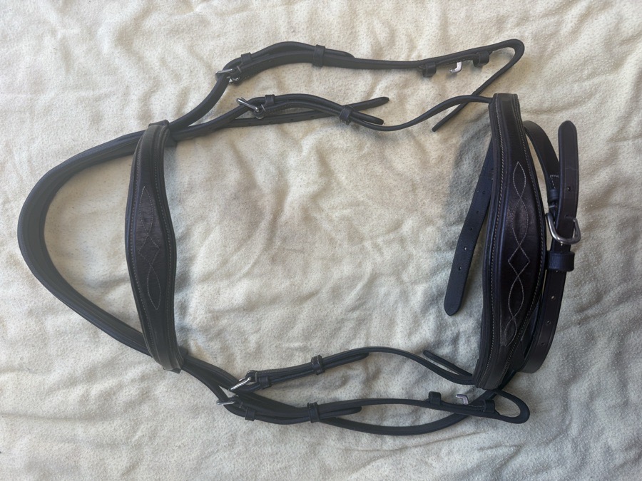 fancy stitch flash bridle