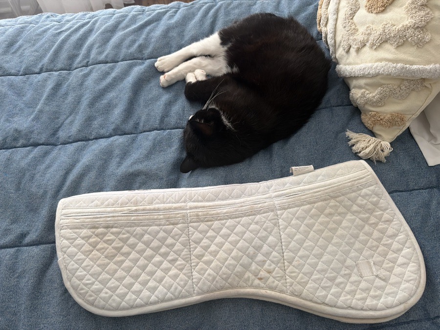 ECP shimmable half pad