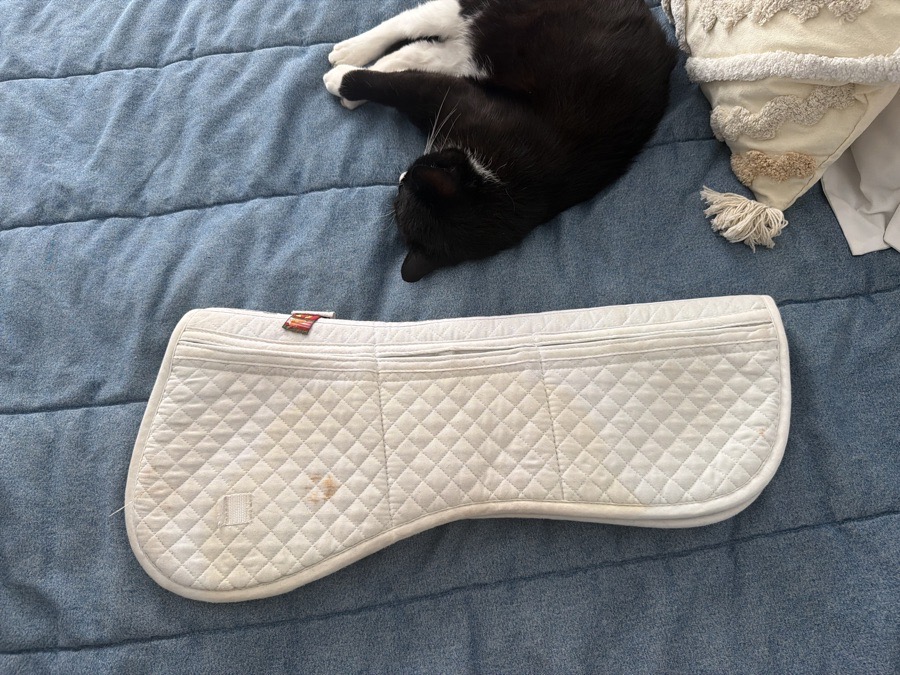 ECP shimmable half pad
