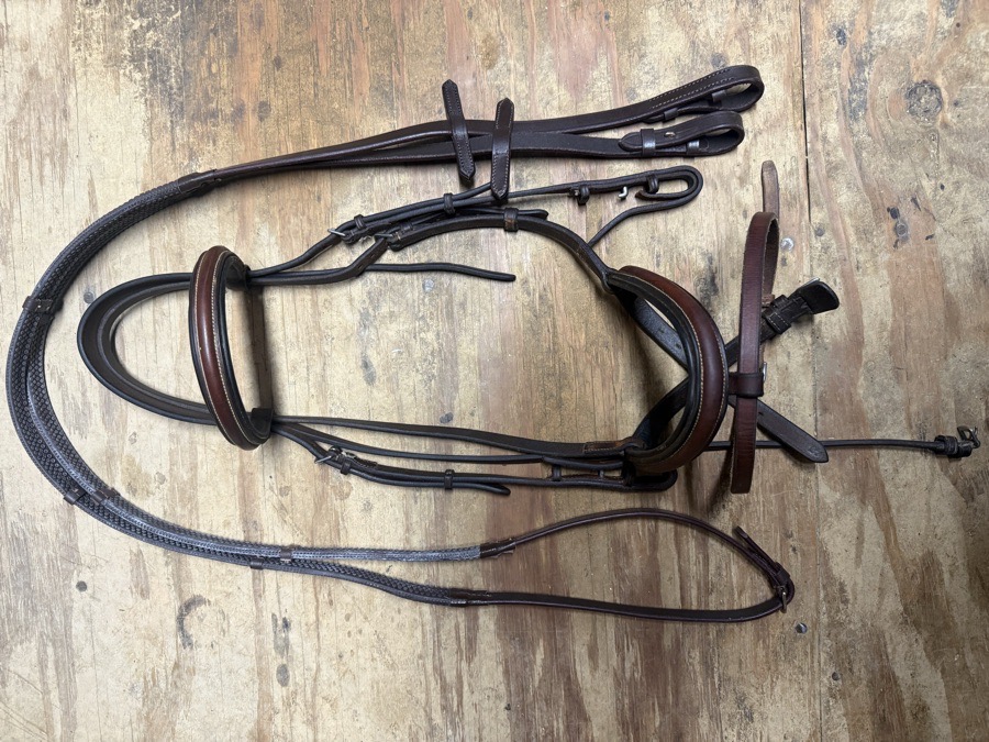 Aramas flash bridle and reins