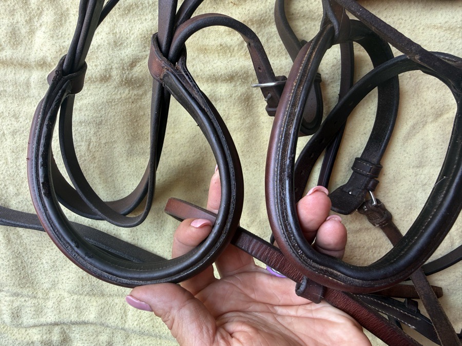 Aramas flash bridle and reins