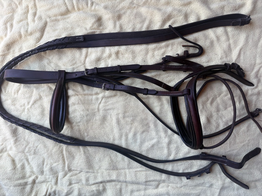 Aramas flash bridle and reins