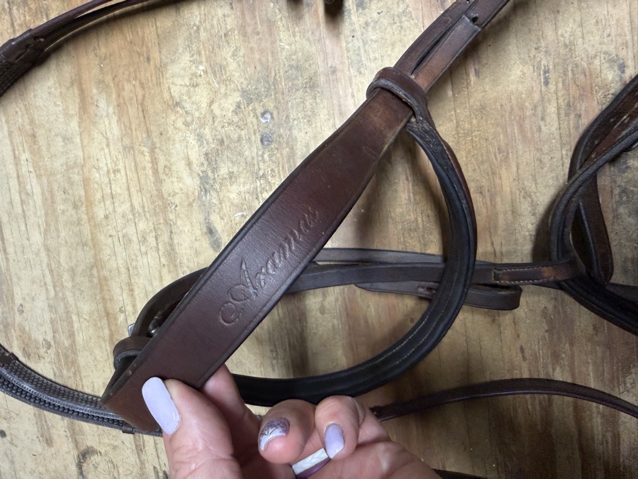 Aramas flash bridle and reins