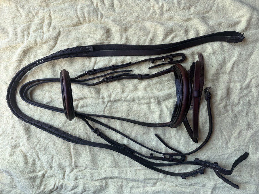 Aramas flash bridle and reins