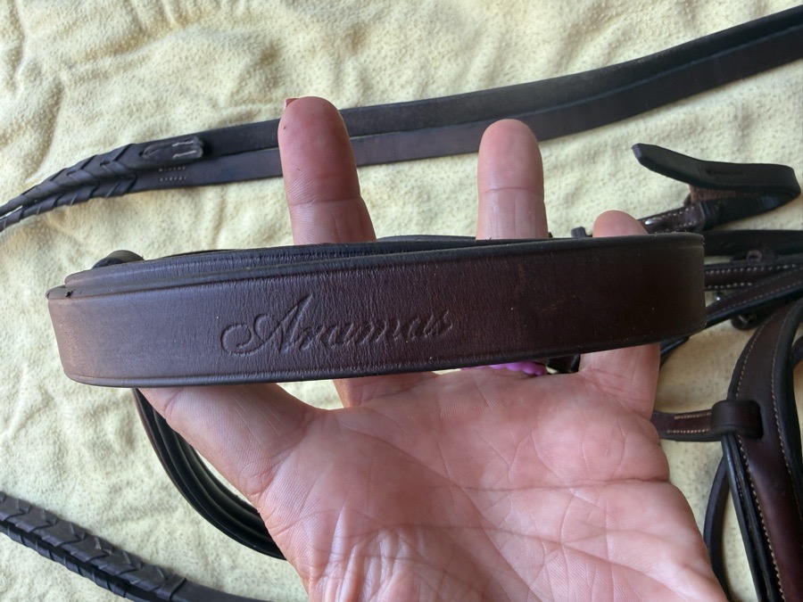 Aramas flash bridle and reins