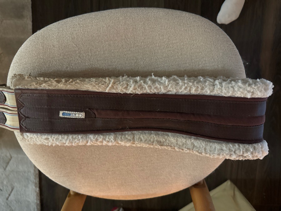 50” Lettia collection schooling girth