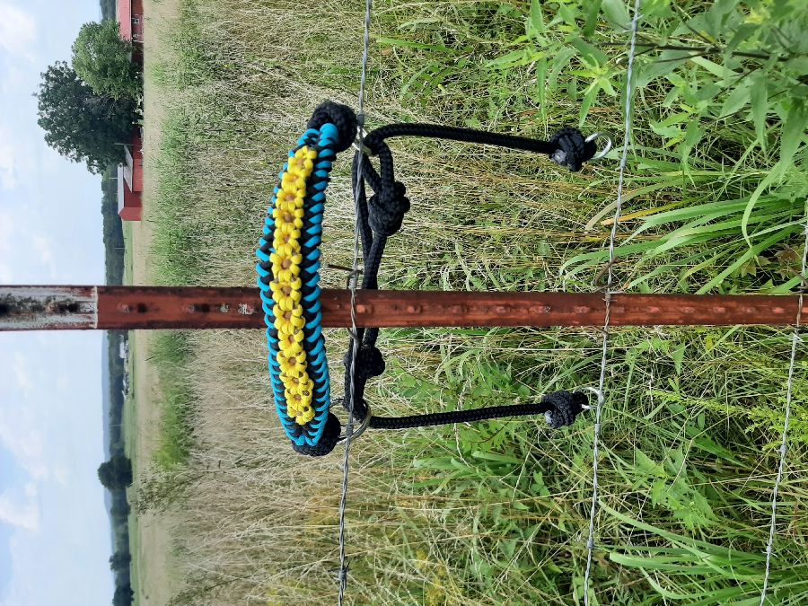 Sunflower Hackamore sidepull