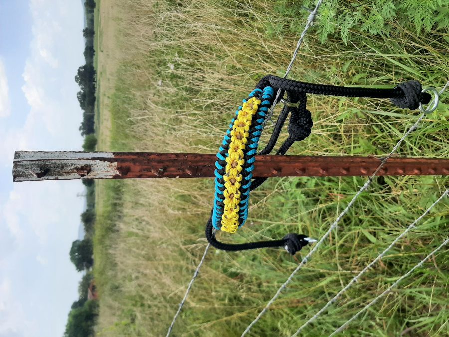 Sunflower Hackamore sidepull
