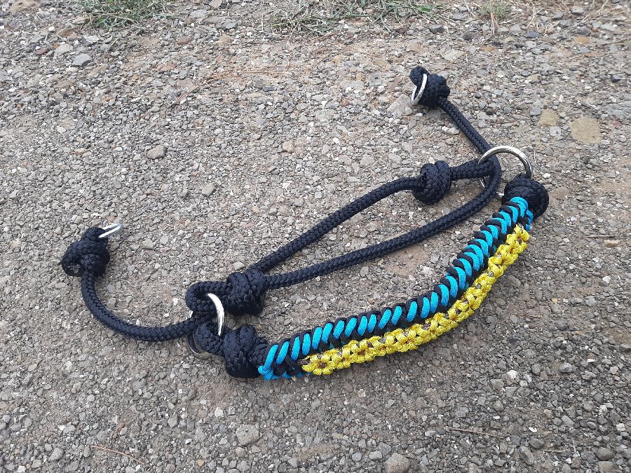 Sunflower Hackamore sidepull