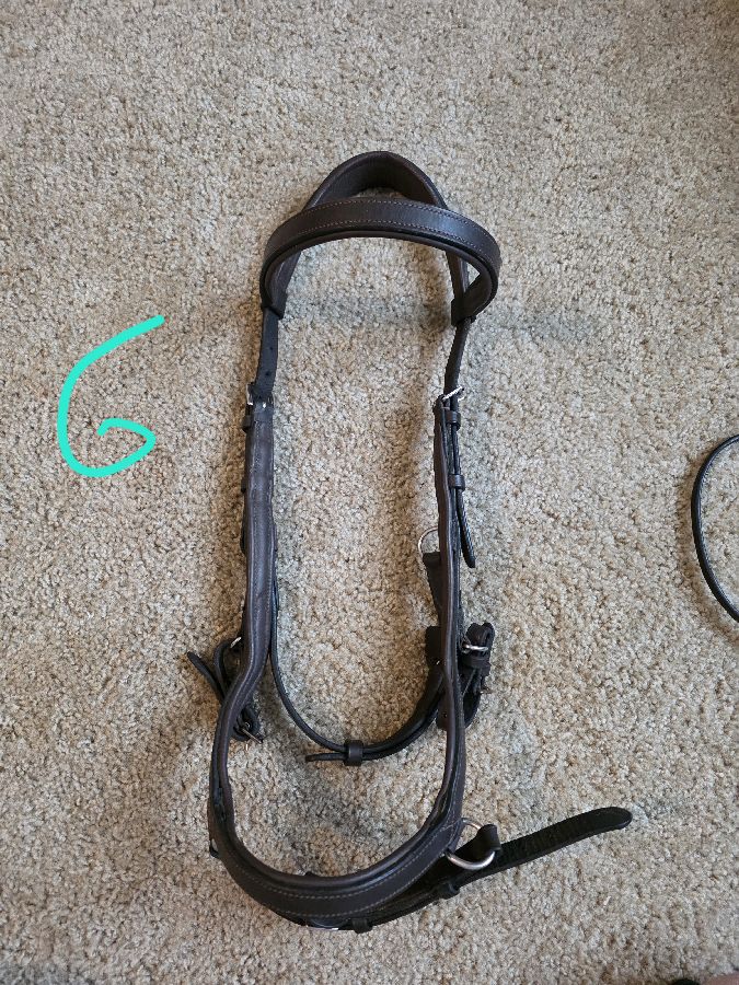 RAMBO MICKLEM Bridle Horse