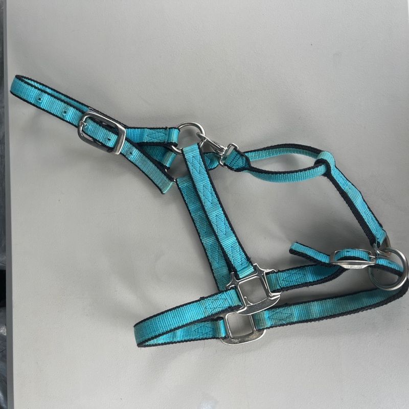 Teal and Black Halter