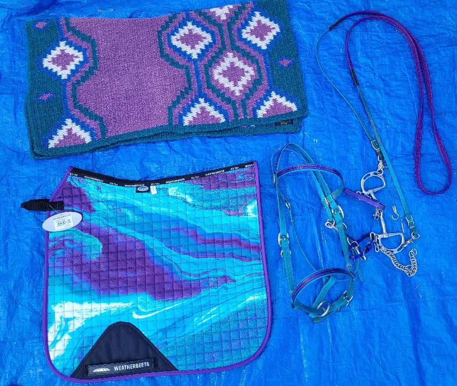 BLUE/PURPLE TACK SET