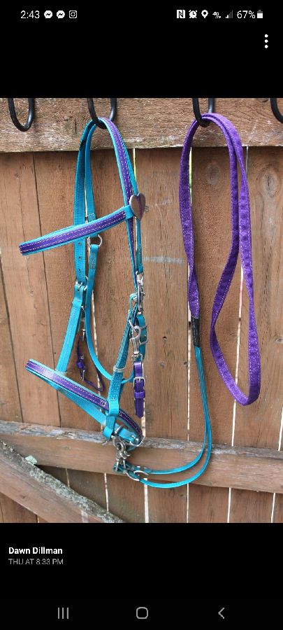 BLUE/PURPLE TACK SET