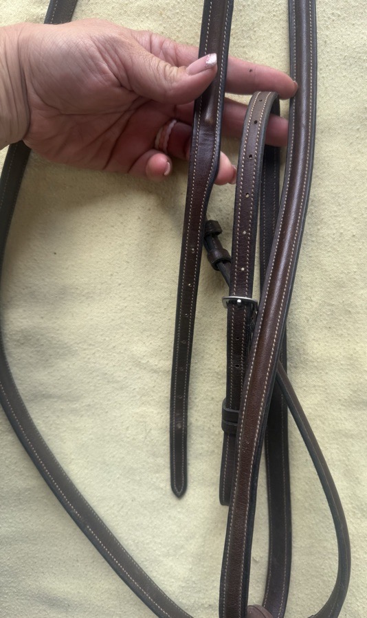 oakbark standing martingale