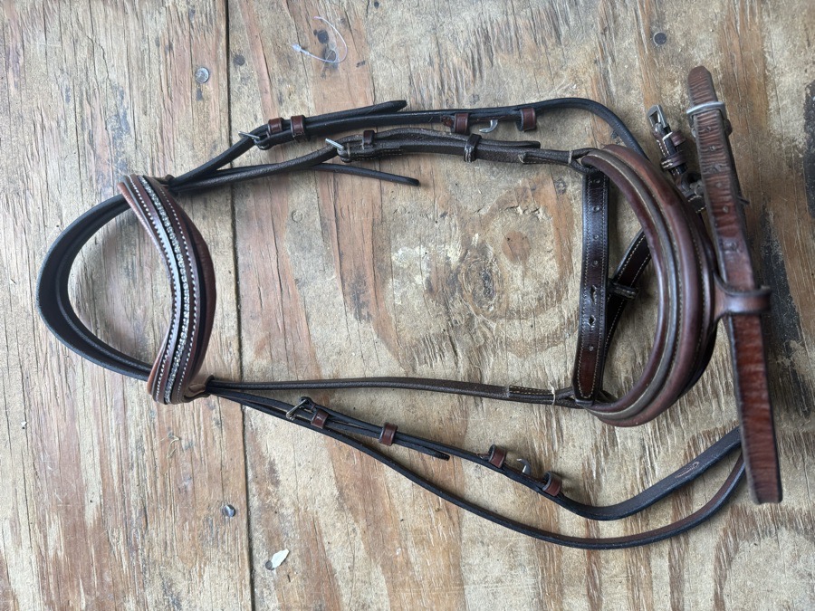 Mixed brand pony sized flash bridle