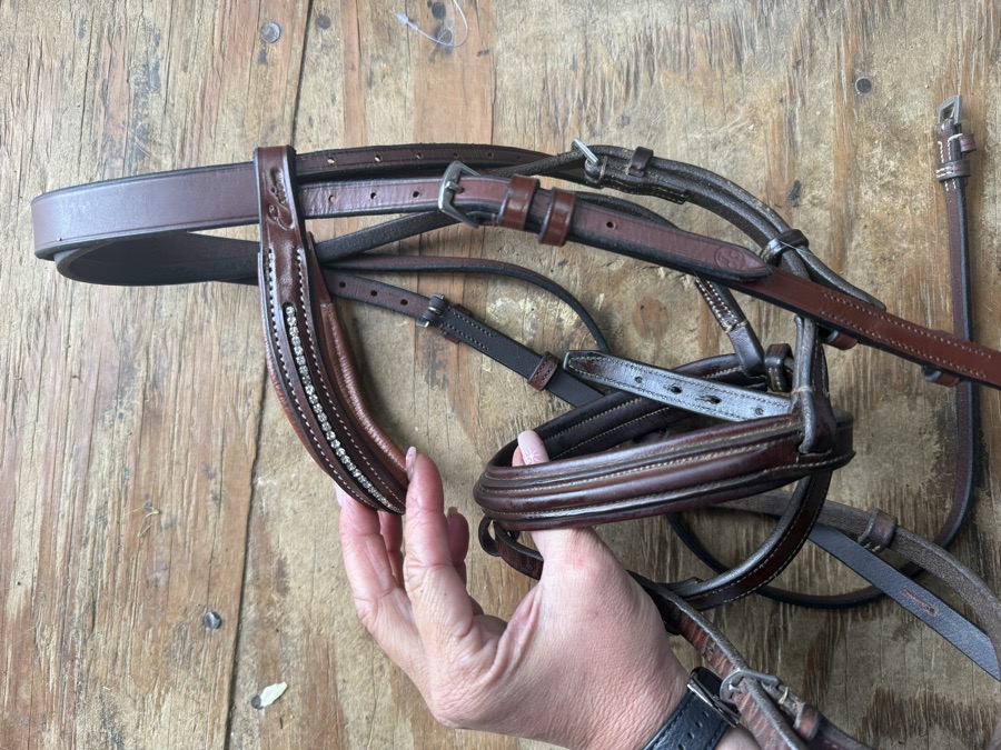 Mixed brand pony sized flash bridle