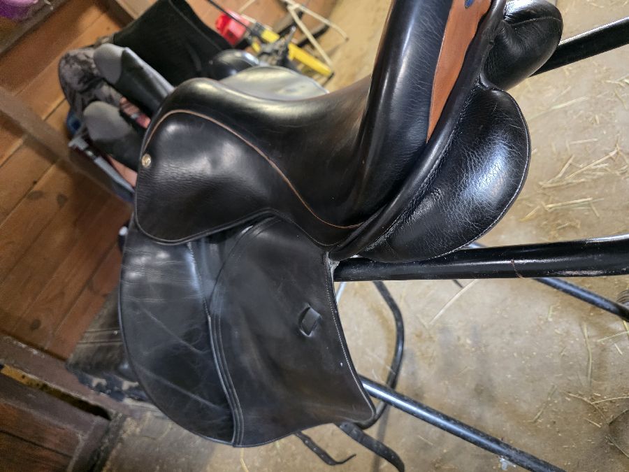 OTHER | 17.5" | 5.25" Tree Size