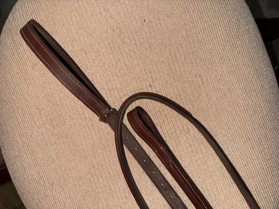 Premier Raised fancy standing martingale 