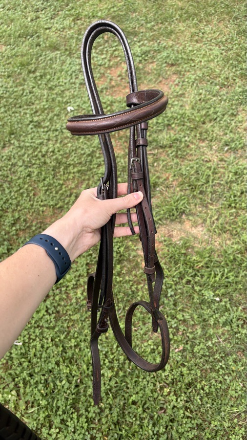 Bridle