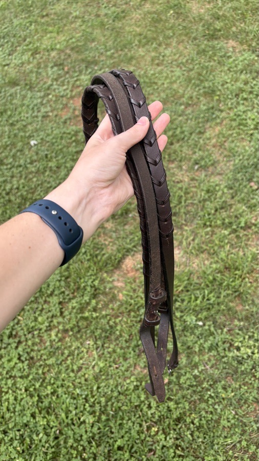 Bridle