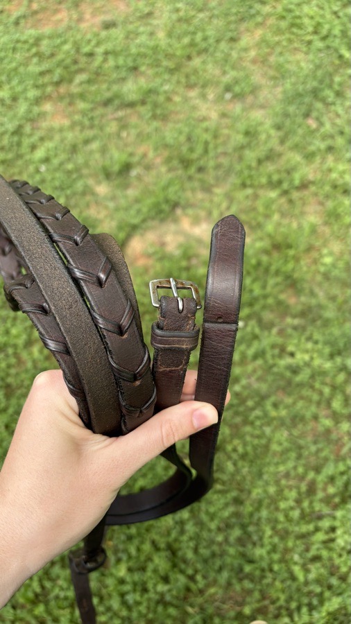 Bridle