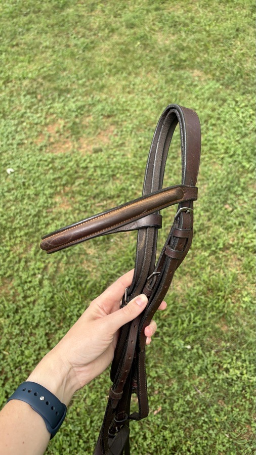 Bridle