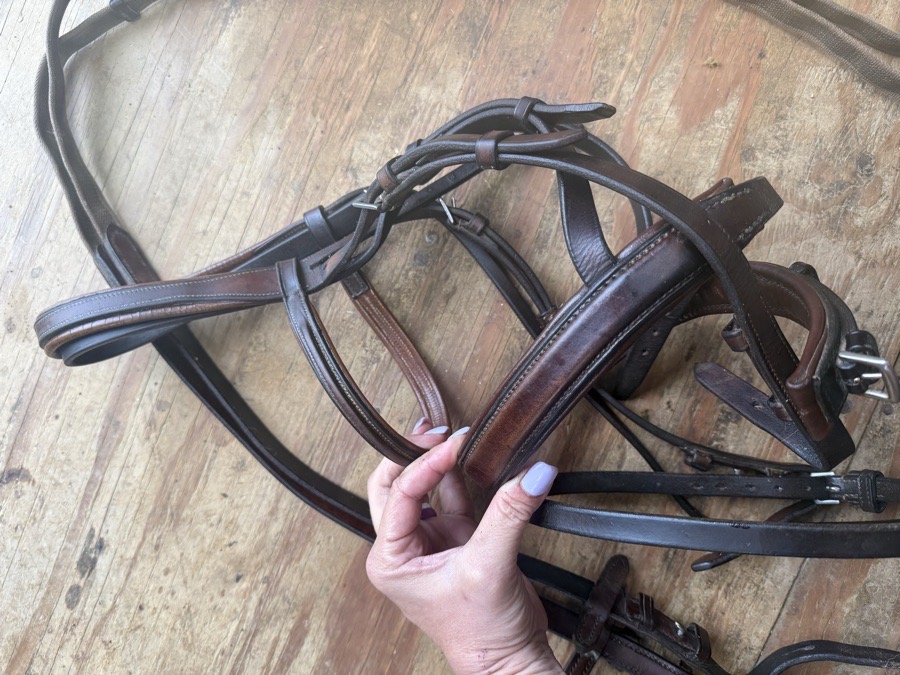 Full sized Dominus flash bridle