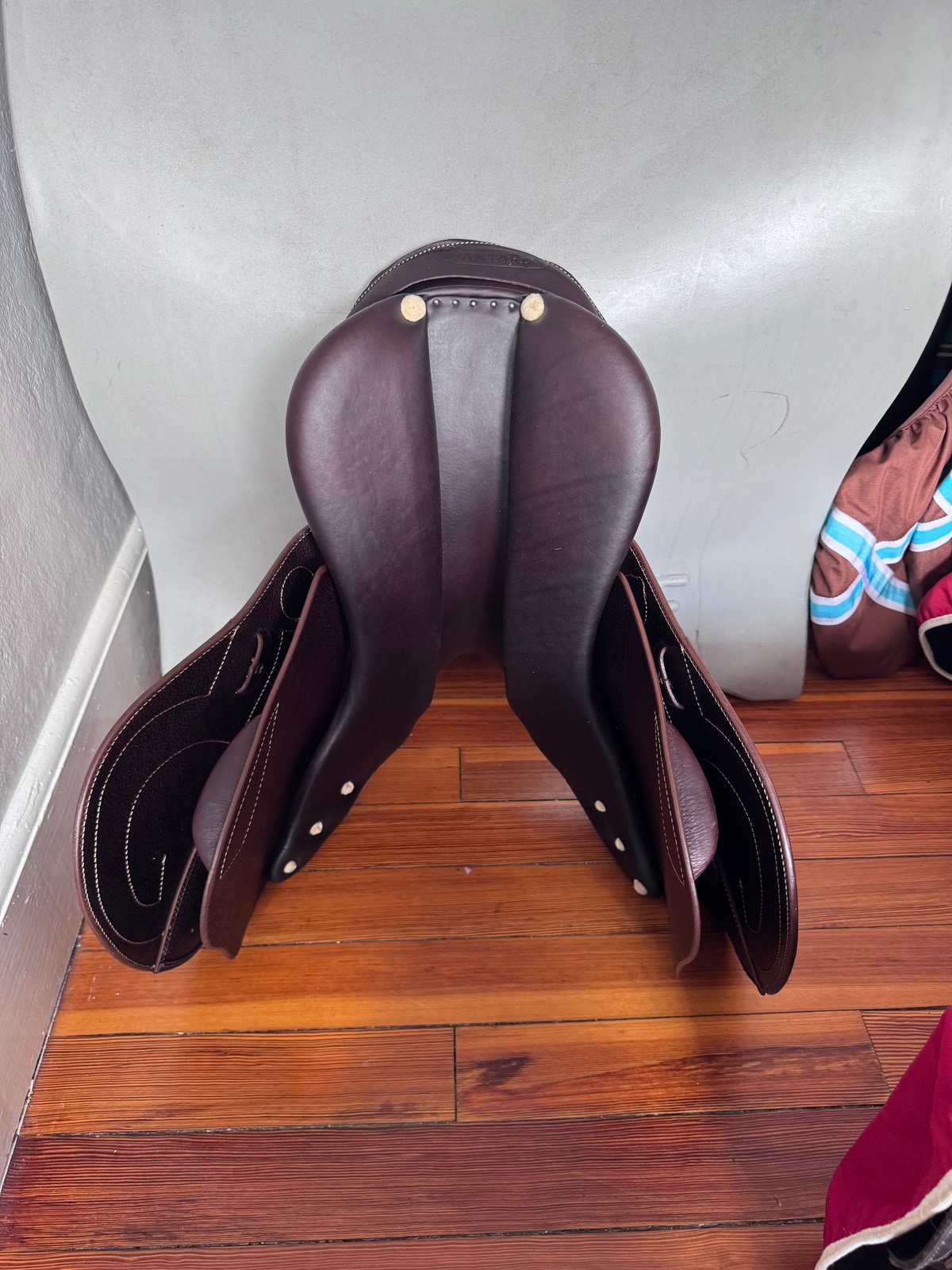 BNWT 17" Antares Signature Saddle - 2025 -2N - A01 Tree - Full Calf