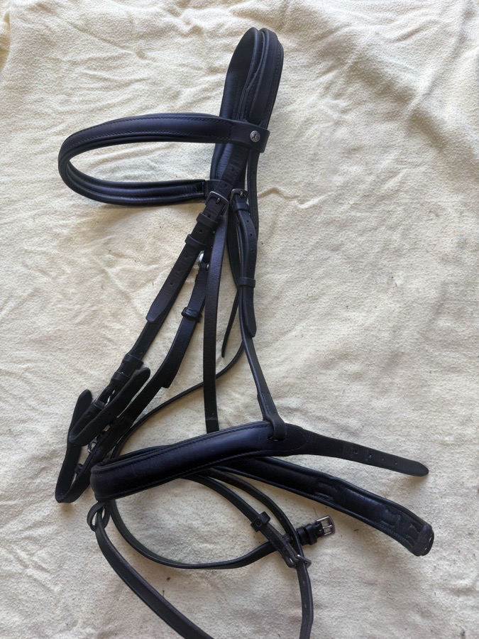 BLACK COUNTRY Bridle