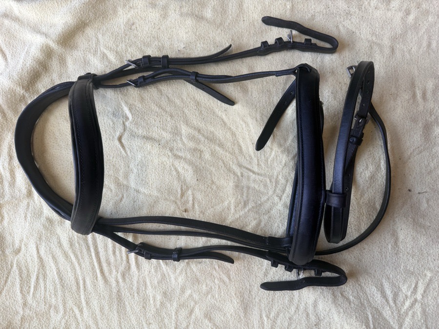 BLACK COUNTRY Bridle