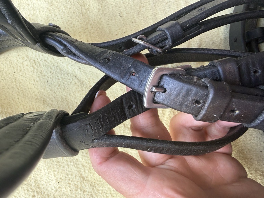 BLACK COUNTRY Bridle