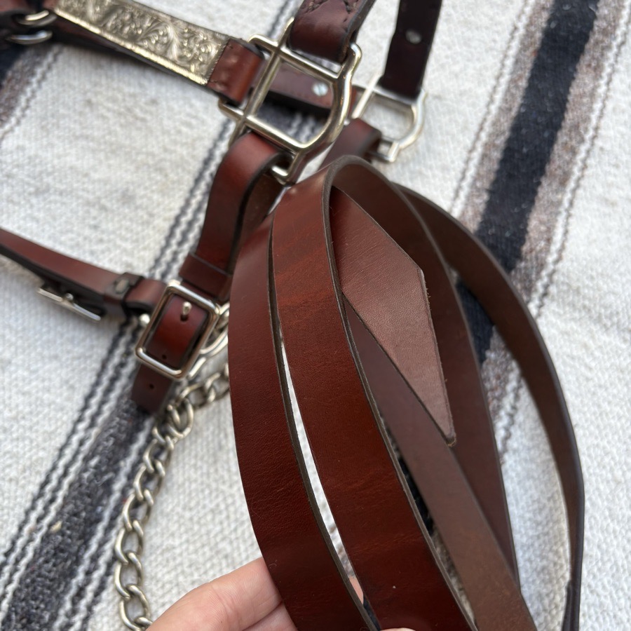 Silver Plated Show Halter w/ Lead