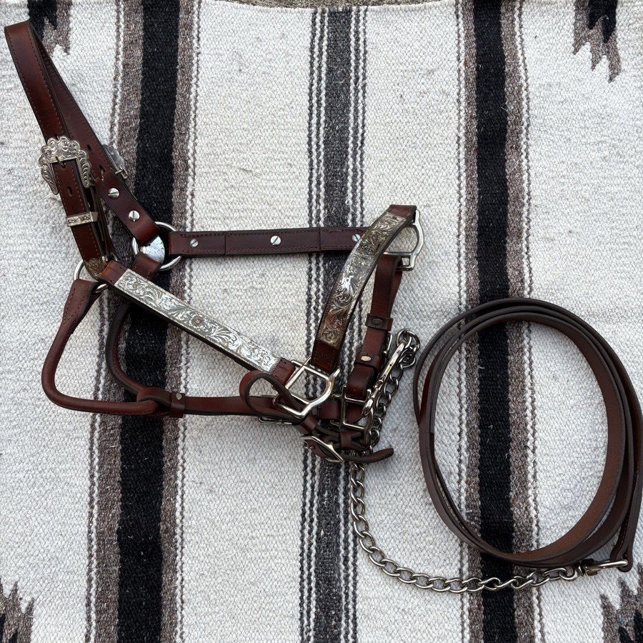 Silver Plated Show Halter w/ Lead