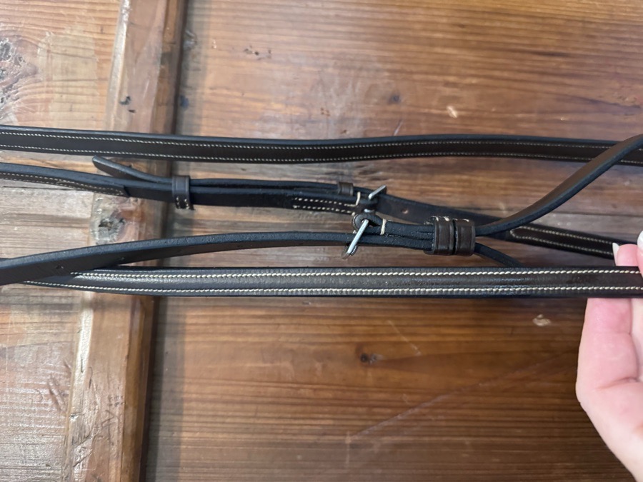 OTHER Martingale Horse