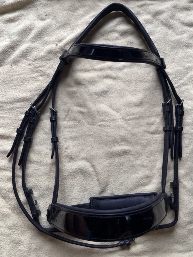 Vespucci patent leather bridle 