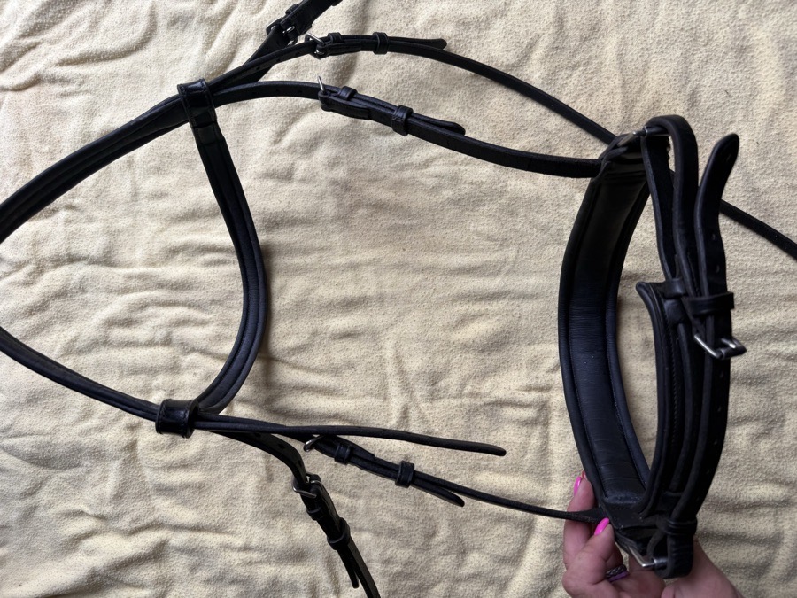 Vespucci patent leather bridle