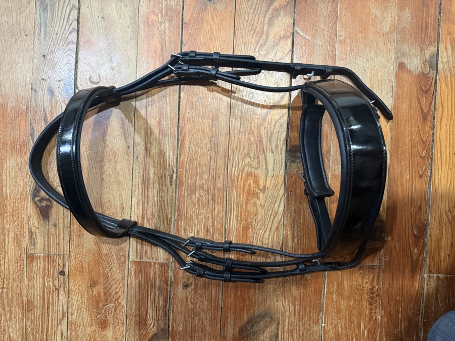 Vespucci patent leather bridle