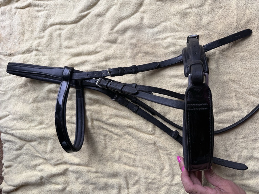 Vespucci patent leather bridle