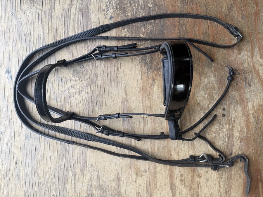 Vespucci patent leather bridle and reins 